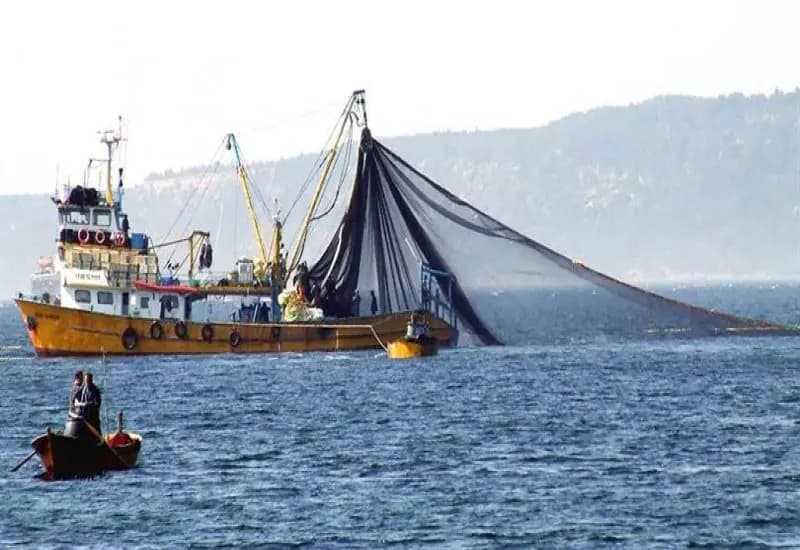 Balıkçılık Sektöründe İş Sağlığı Ve Güvenliği